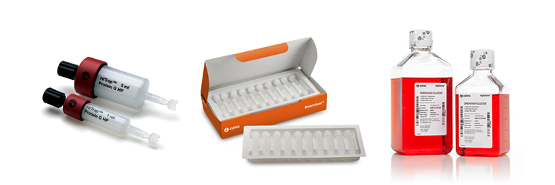 Isolation and Sequencing/Genomics