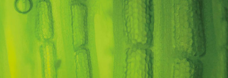 2023 Fisher Science Education Chemicals Catalog