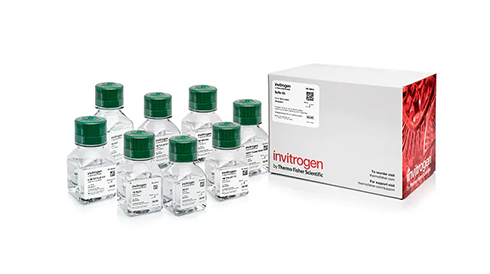 PCR Specific Buffers