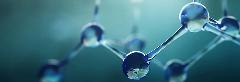 Molecular Biology Methods