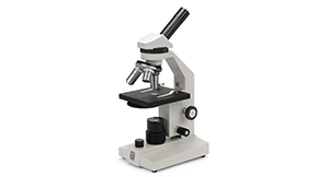 Hobbyist compound Microscope