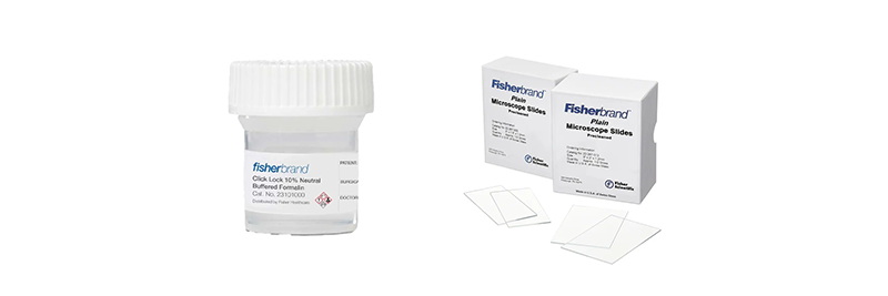 General Clinical Lab