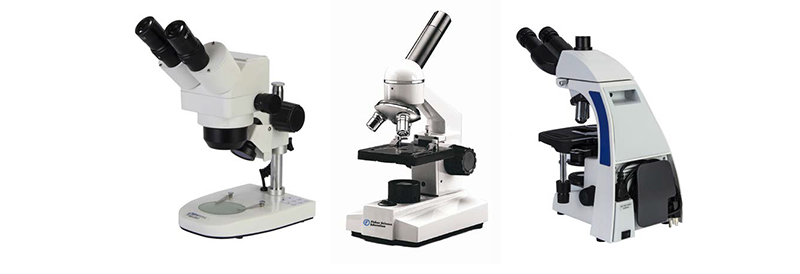 Microscopes Buying Guide