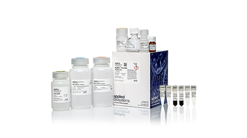 RNA Isolation Purification