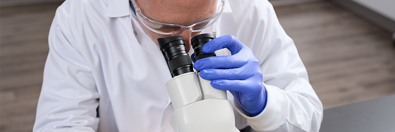 Accelerator-Free Gloves