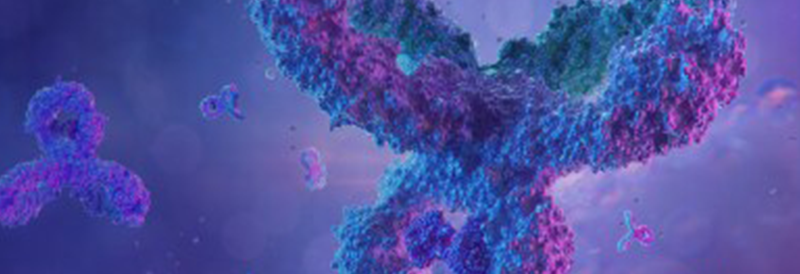 Protein Biology Methods