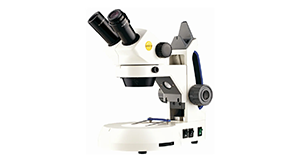 Educational Stereo Microscope