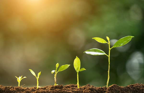 Environmental Monitoring