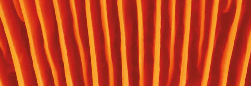 2023 Fisher Science Education Safety Catalog