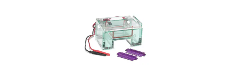 Gel Electrophoresis Equipment and Supplies
