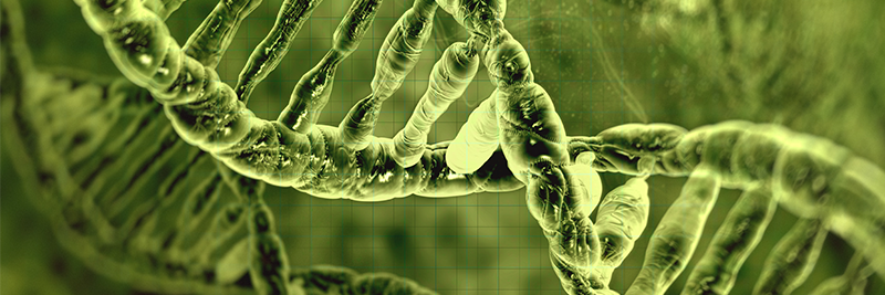 Fisher Science Education Nucleic Acid and PCR Flier