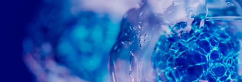 Cell Analysis Methods