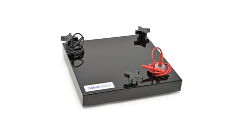 Western Blot Products