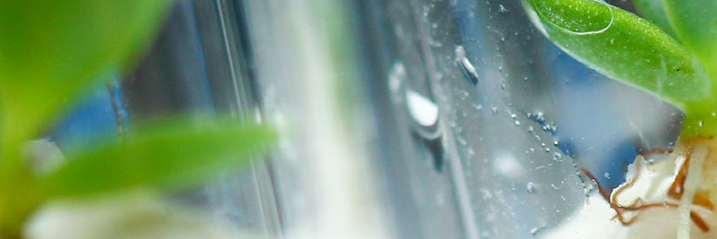 Biotech Staples for Education Product List