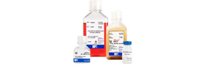 Cell Culture Products