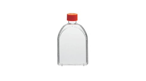 Shop Corning Cell Culture flasks