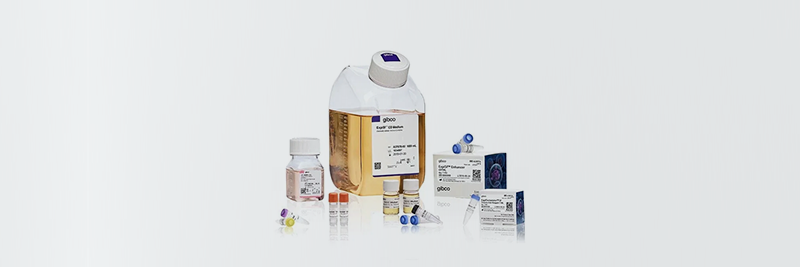 Shop protein expression