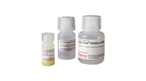 Antibody Production and Purification
