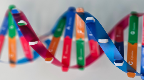 Biotechnology Resources for Education