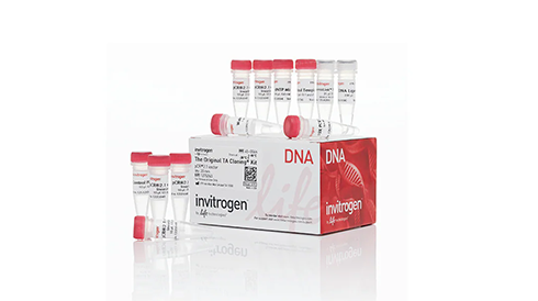 PCR Cloning Kits