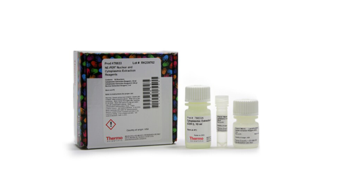 Protein Purification