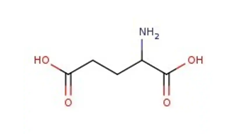 Amino Acids