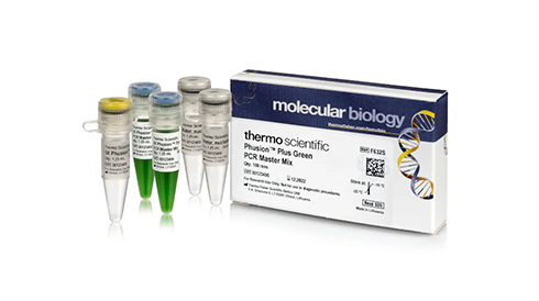 Enzymes and Inhibitors