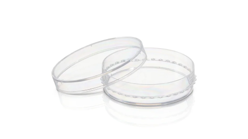 Shop Cell Culture Dishes