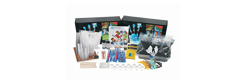 Demonstrate Forensic Investigation