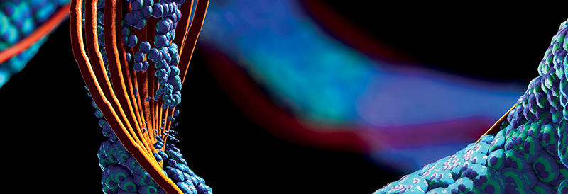 Power Your Protein Research From Collection to Analysis