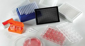 Cell Culture Assay
