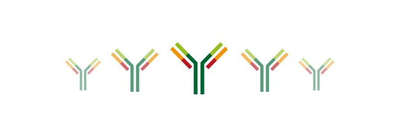 Antibody Buying Guide