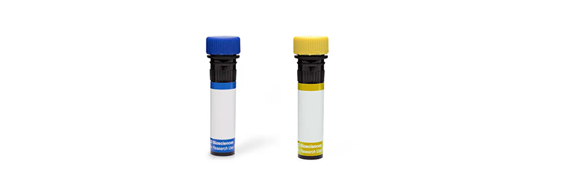 BD Horizon RealBlue and RealYellow Dyes 