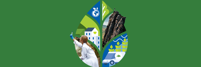 Sustainability Services